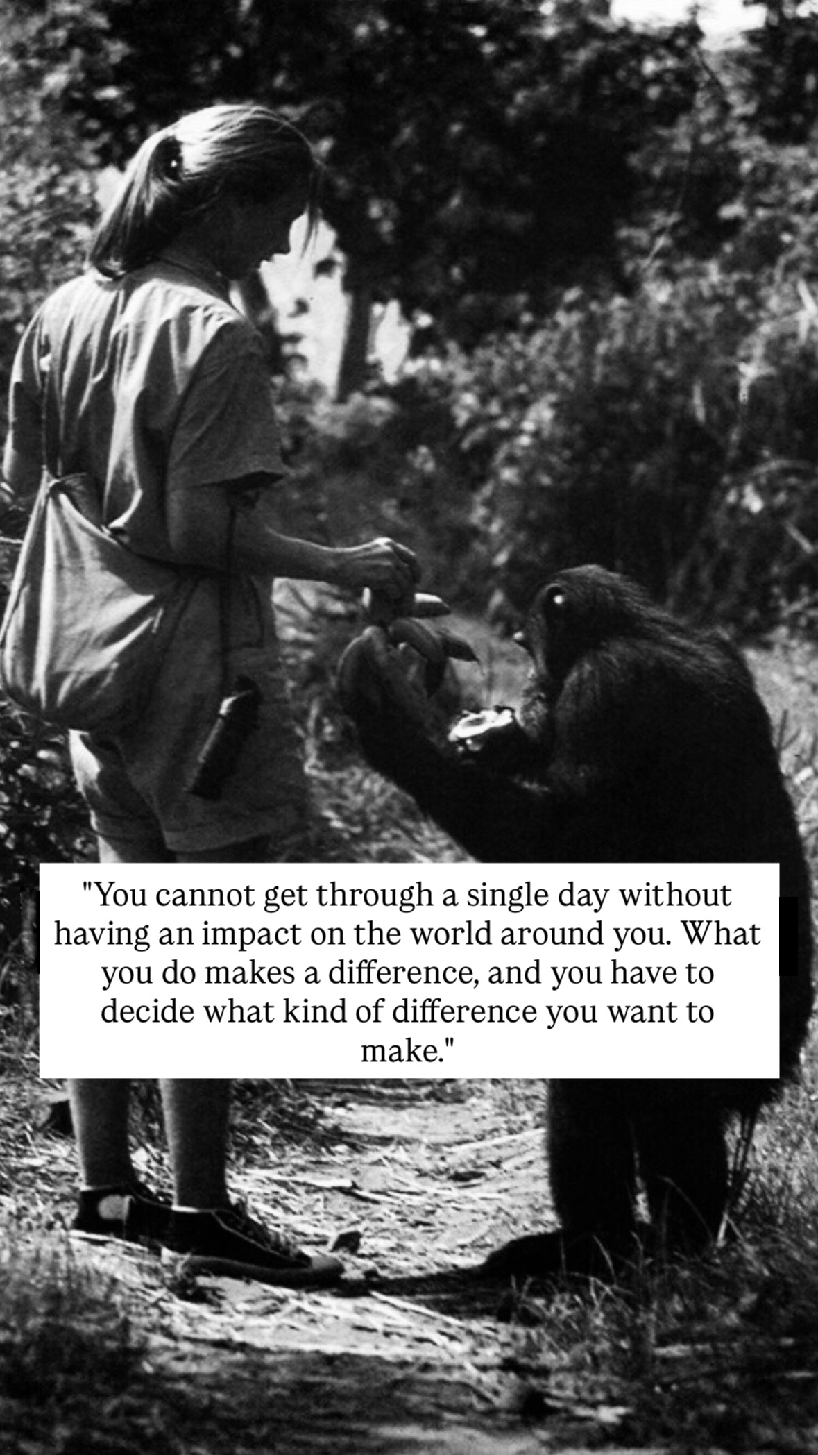 Photo of Jane Goodall