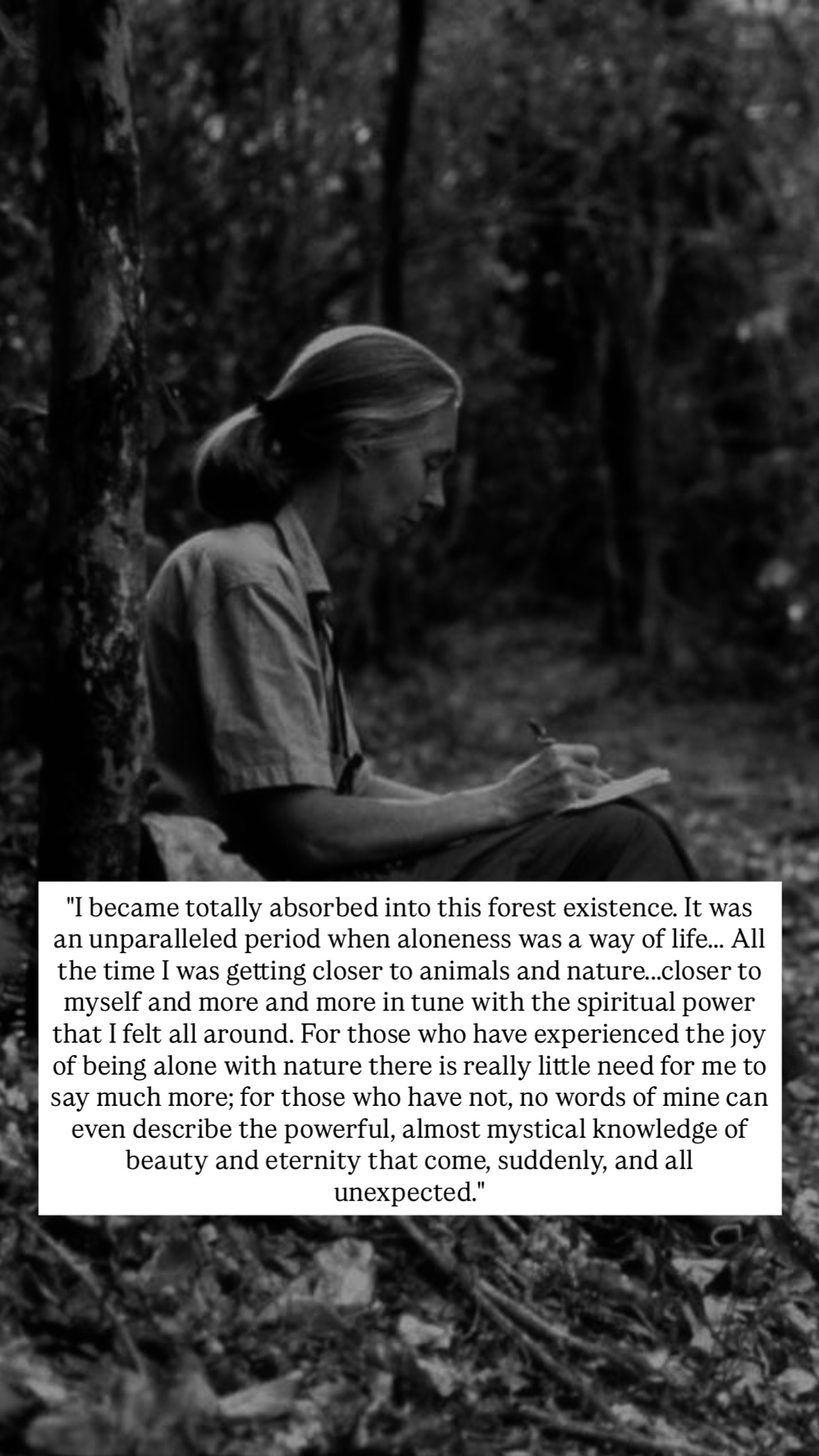 Photo of Jane Goodall