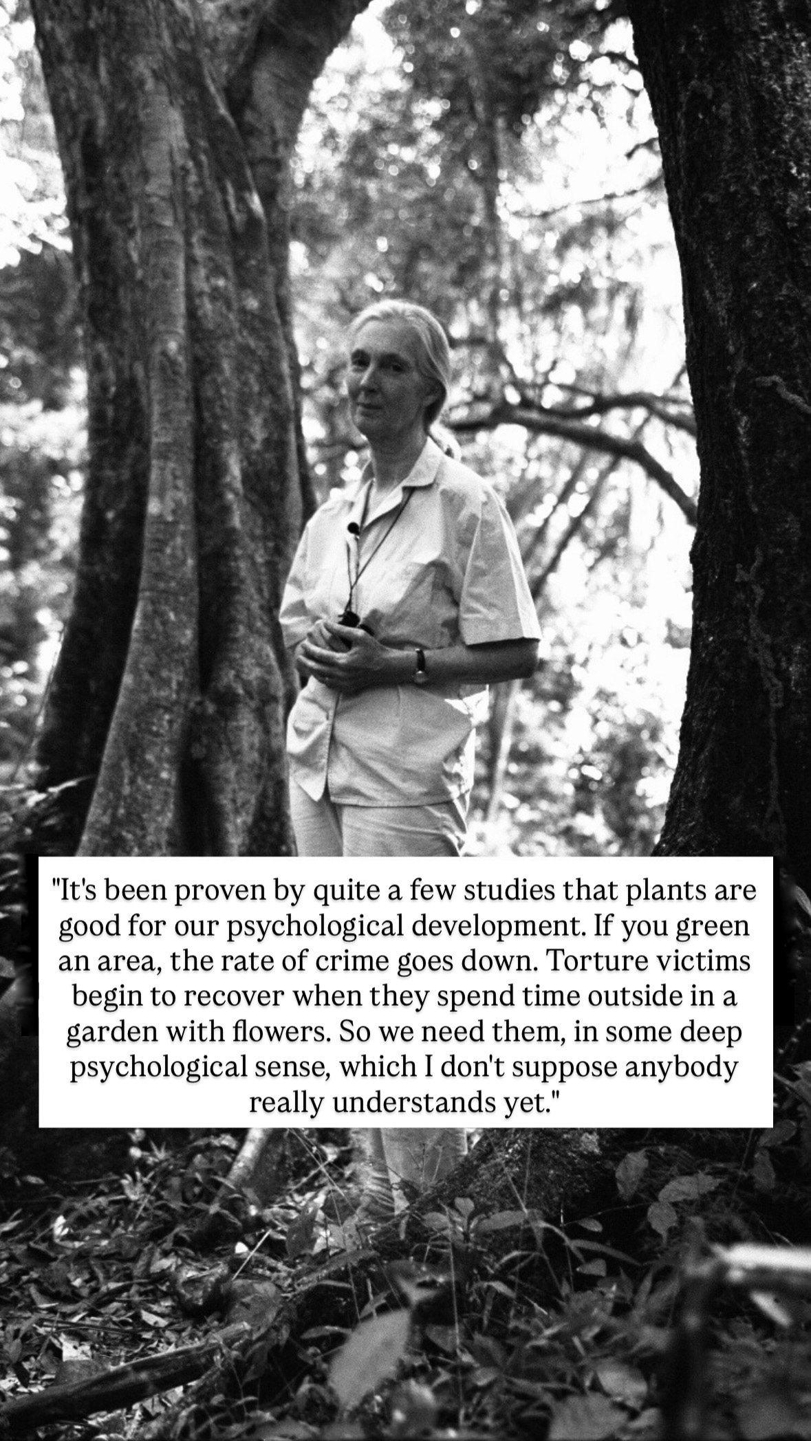 Photo of Jane Goodall