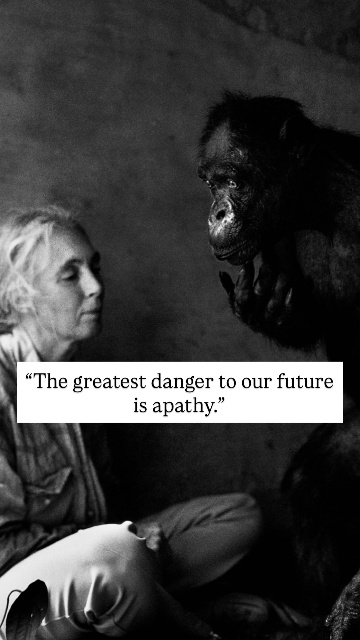 Photo of Jane Goodall