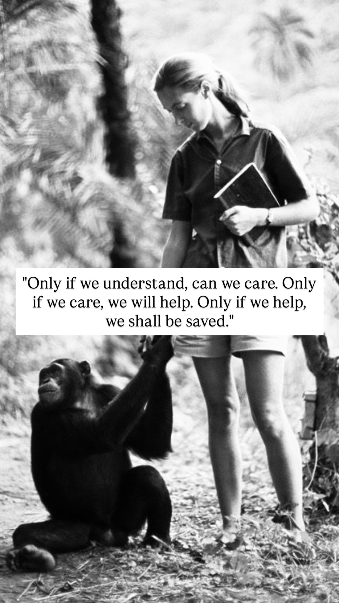 Photo of Jane Goodall