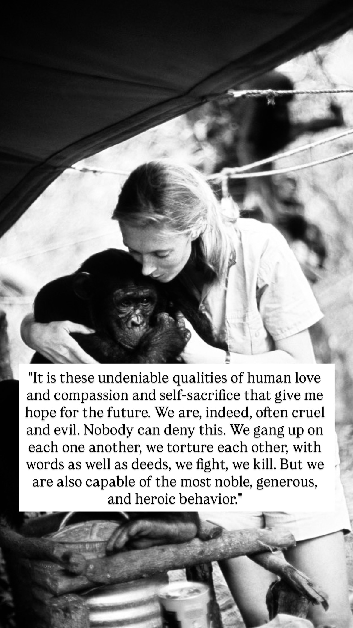 Photo of Jane Goodall