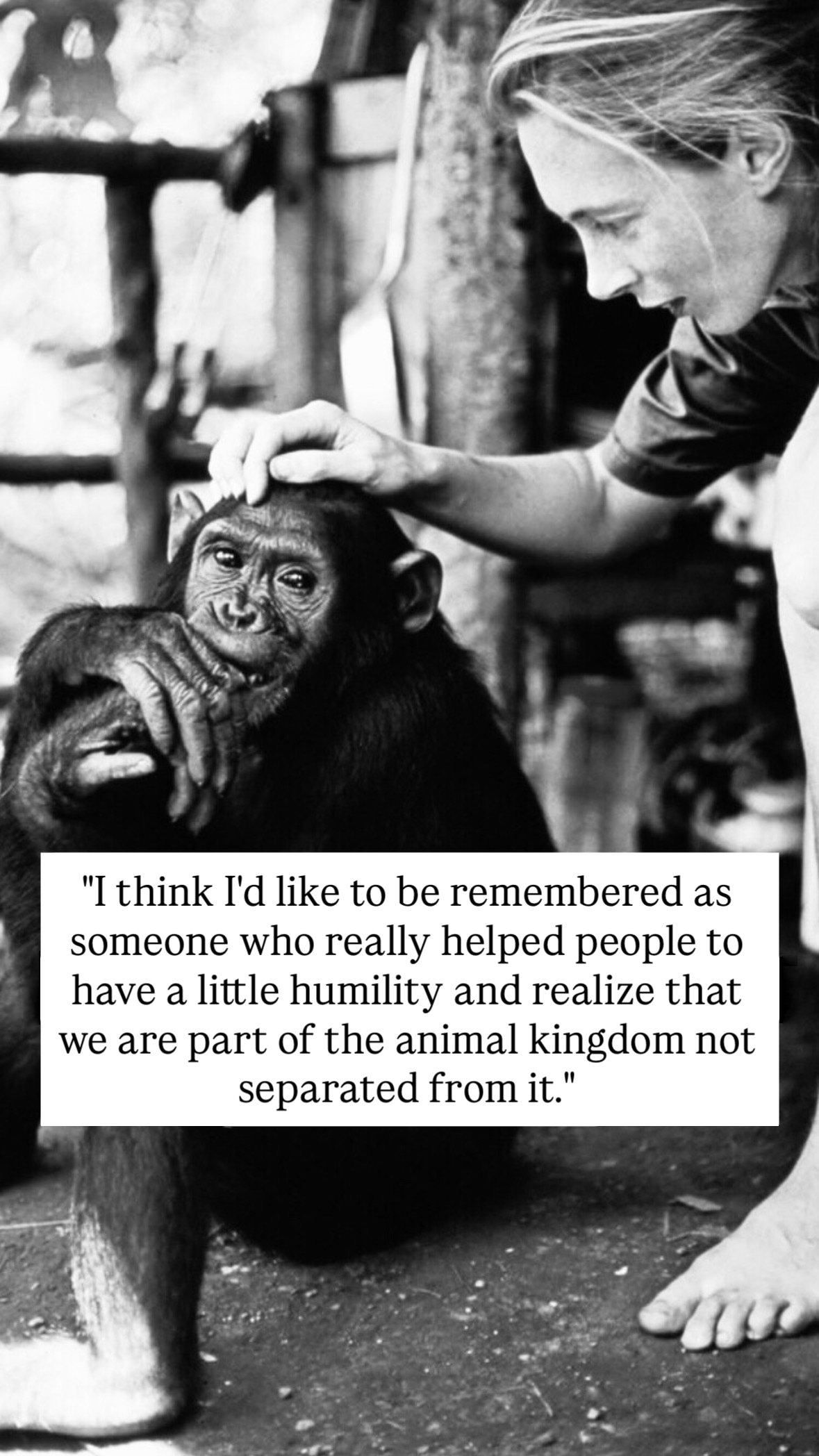 Photo of Jane Goodall