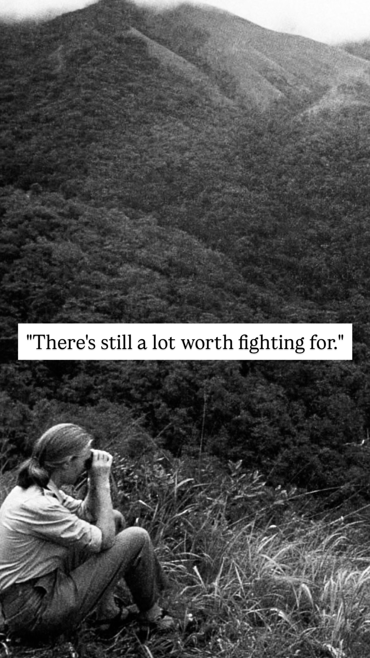 Photo of Jane Goodall