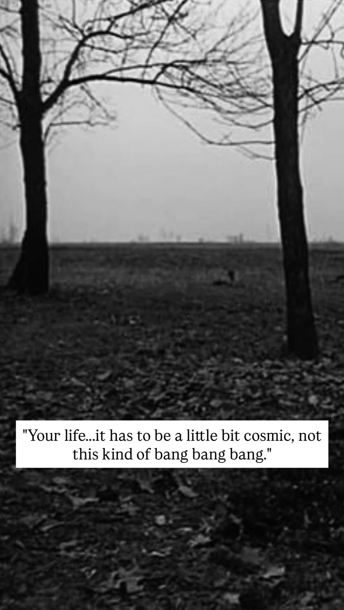 Photo of Béla Tarr