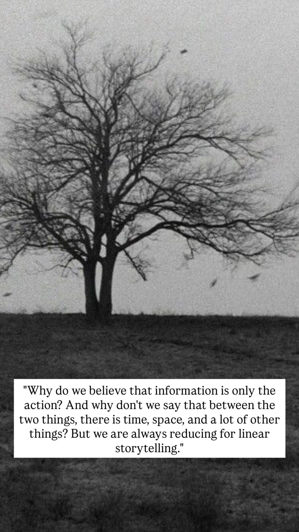 Photo of Béla Tarr