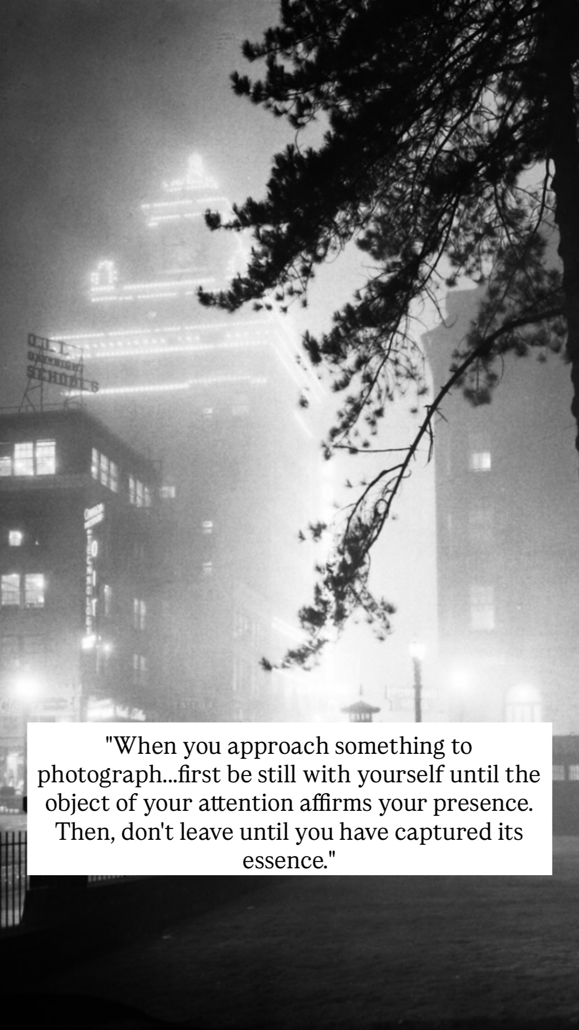 Photo of Minor White