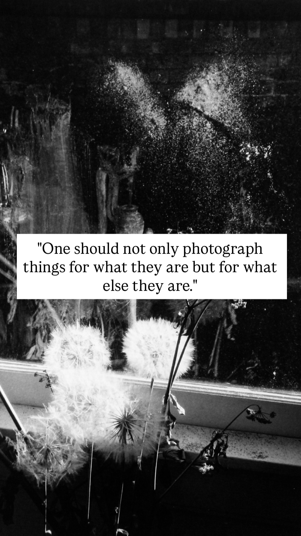 Photo of Minor White