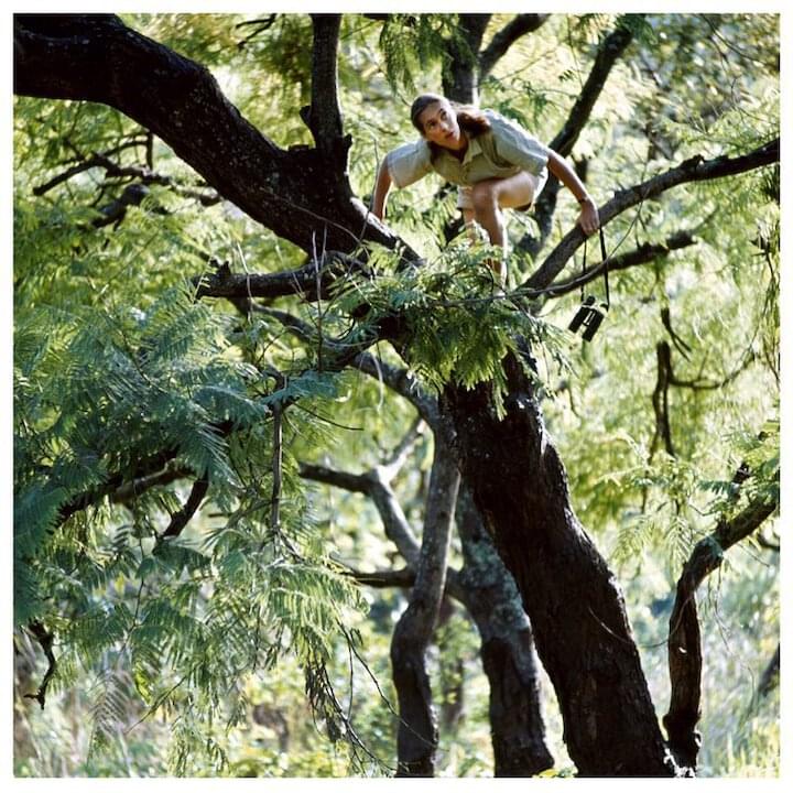 Photo of Jane Goodall