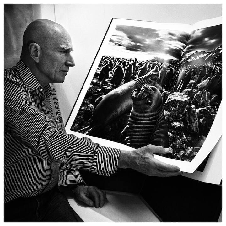 Photo of Sebastião Salgado