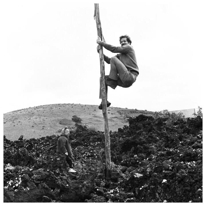 Photo of Werner Herzog