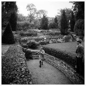 Photo of Albert Camus