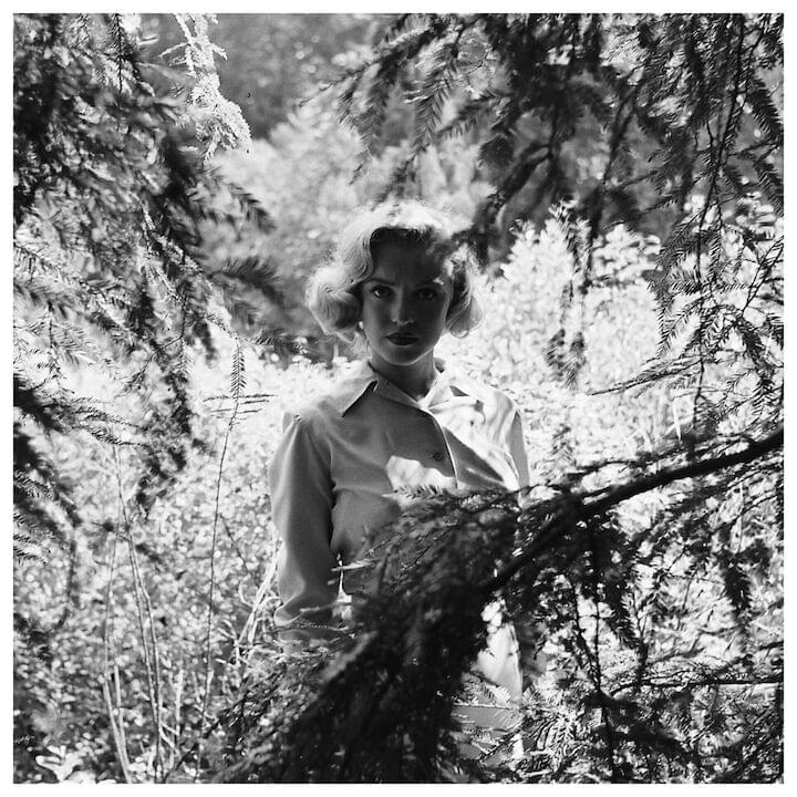 Photo of Marilyn Monroe