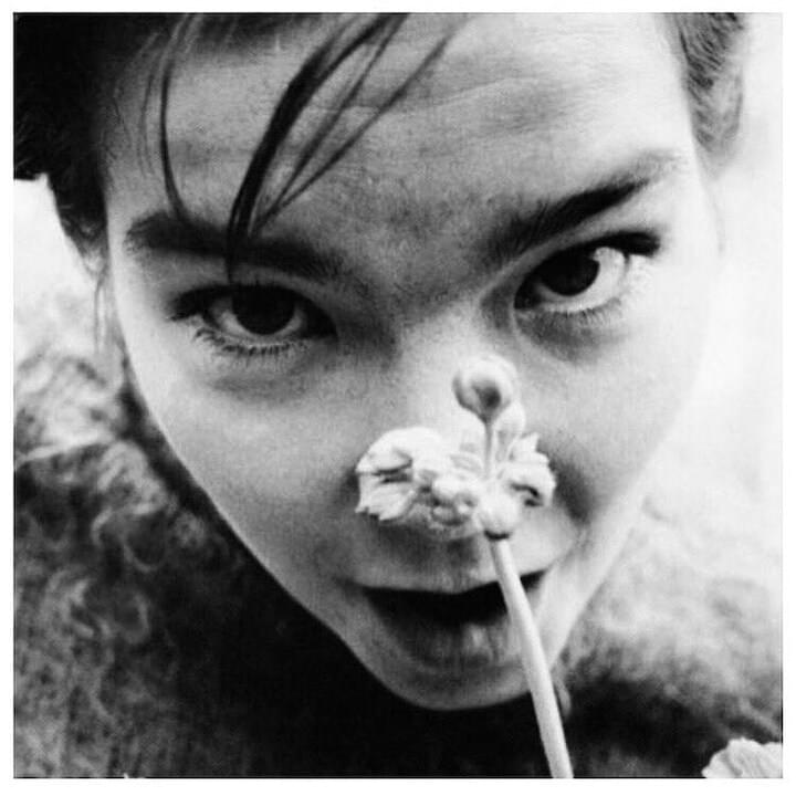 Photo of Bjork