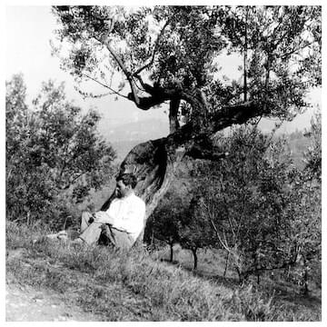 Photo of D.H. Lawrence