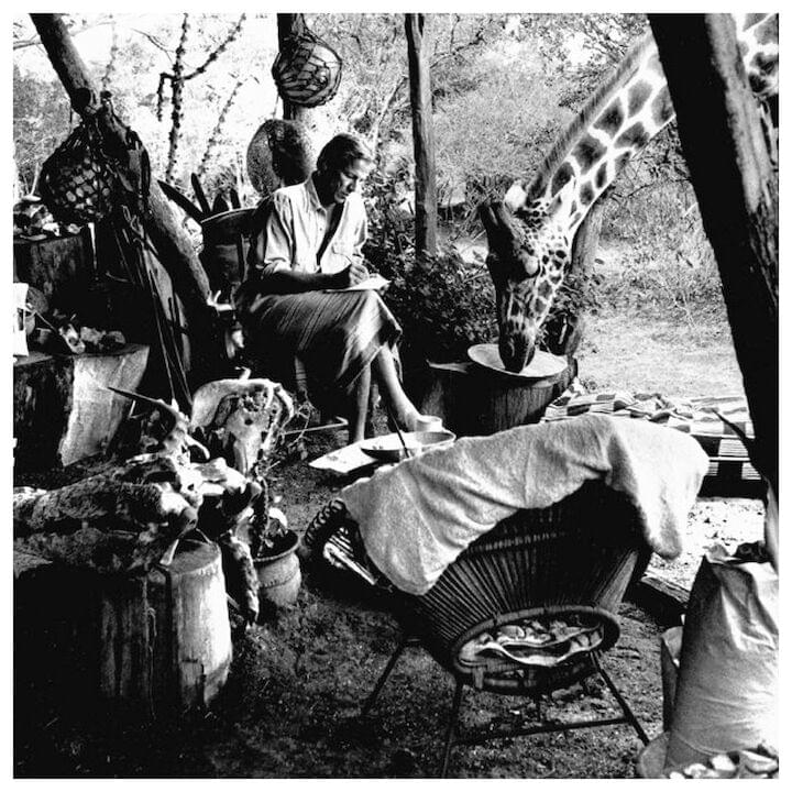 Photo of Peter Beard