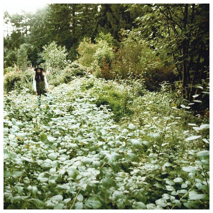 Photo of George Harrison