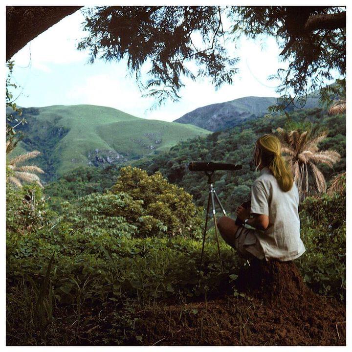 Photo of Jane Goodall
