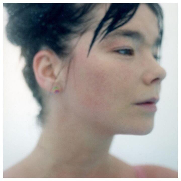 Photo of Björk