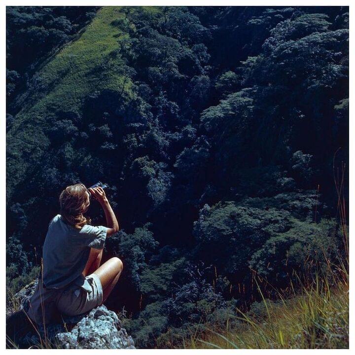 Photo of Jane Goodall