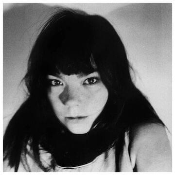 Photo of Björk