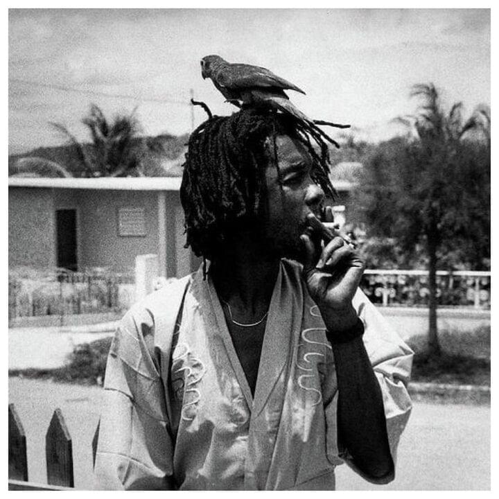 Photo of Peter Tosh