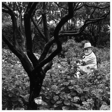 Photo of Henri Matisse