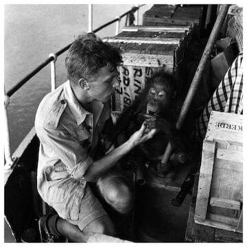 Photo of David Attenborough