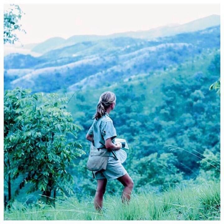 Photo of Jane Goodall