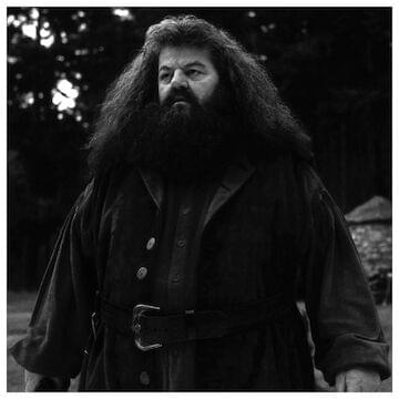 Photo of Robbie Coltrane