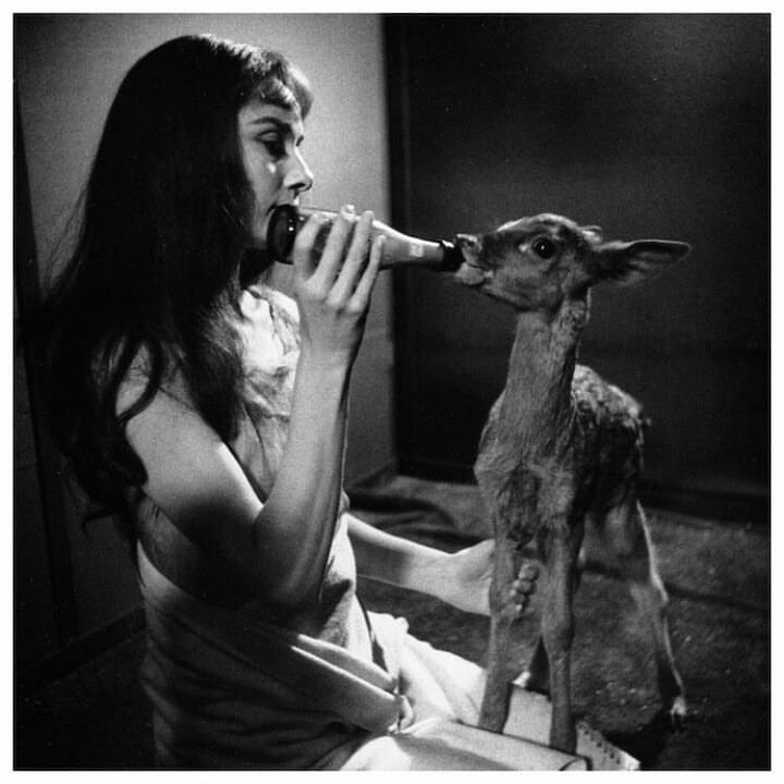 Photo of Audrey Hepburn