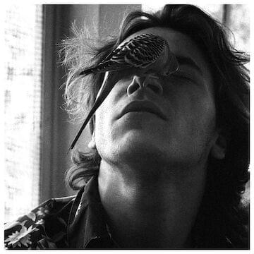 Photo of River Phoenix