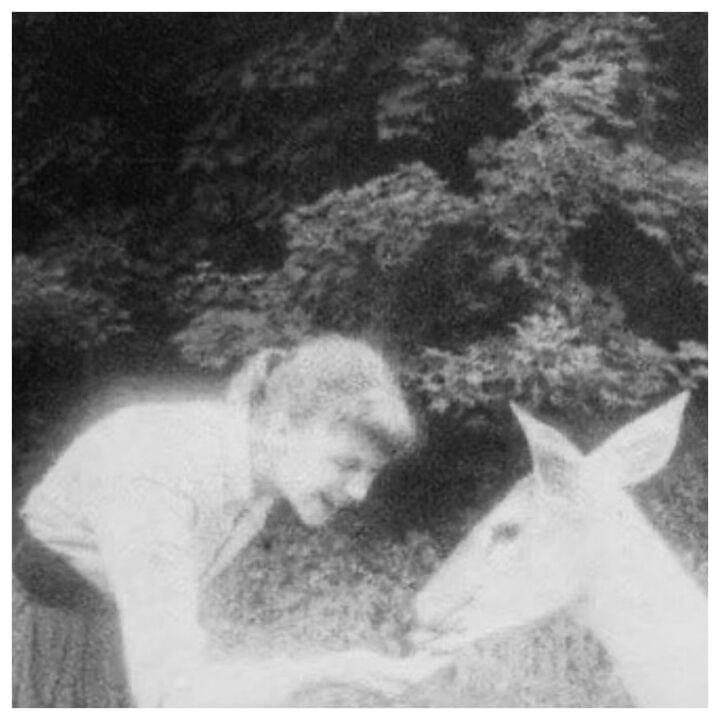 Photo of Sylvia Plath