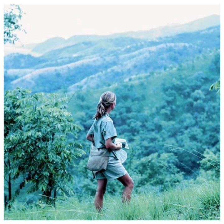 Photo of Jane Goodall