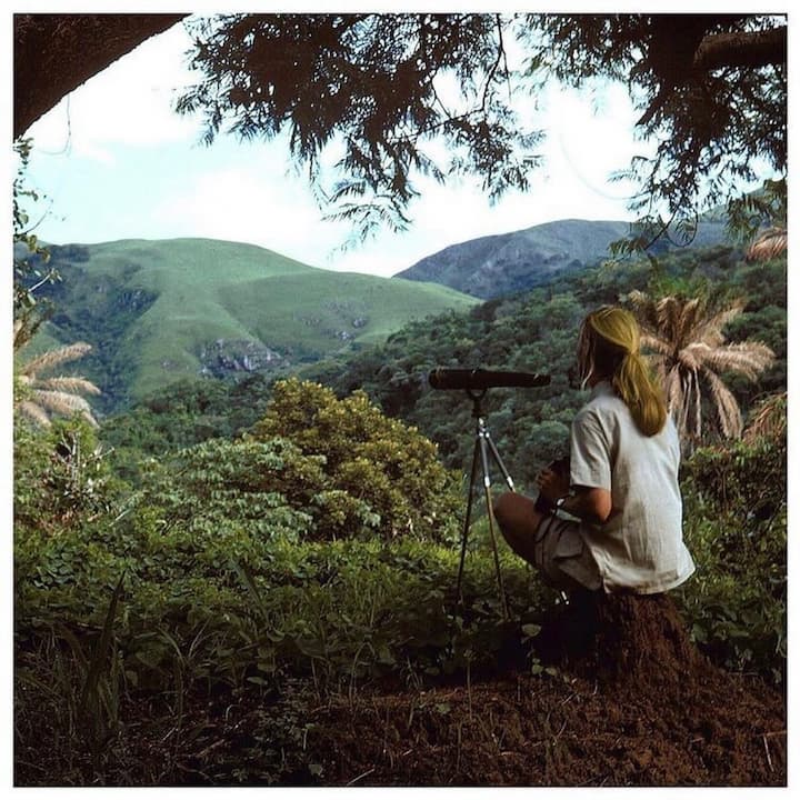 Photo of Jane Goodall